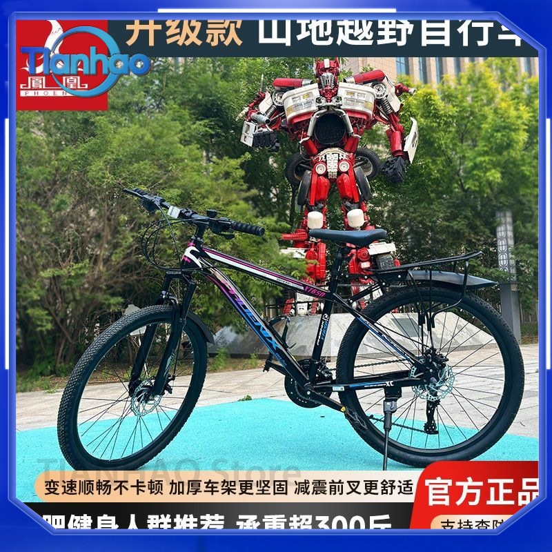 Sepeda Gunung untuk Shanghai P - Mountain Biking Phoenix ulasan dan harga